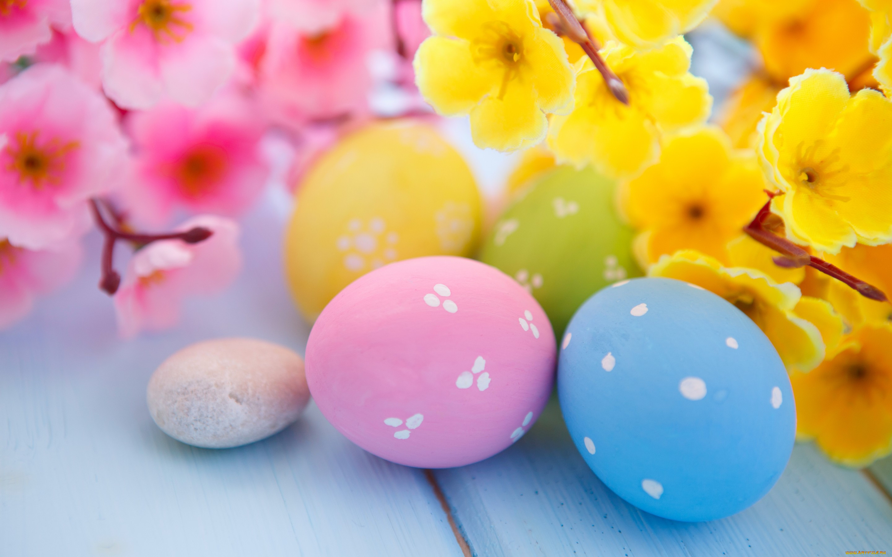 , , easter, eggs, flowers, spring, , 